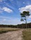 landschap