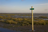 Oostvoornse Meer, Oostvoornse Meer, Mazhar Uzun