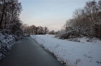 Sloot in Loetbos