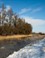 De Brabantse biesbosch