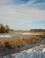 De Brabantse biesbosch