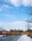 De Brabantse biesbosch