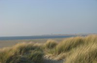 Zum Glück, Zeeland, duinen
