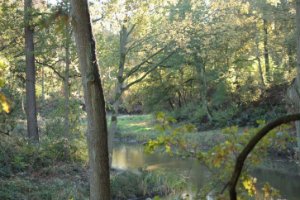 Bergse Wal bij Halsteren