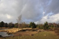Kiezelven Strabrechtse heide