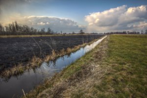 Oudshoornpad, Nieuwkoopse Plassen