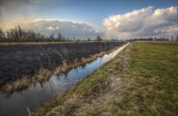 Oudshoornpad, Nieuwkoopse Plassen
