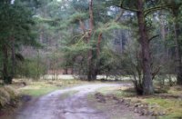 Wandelpad Zanderbos Nunspeet, Nunspeet, Cor de Lange