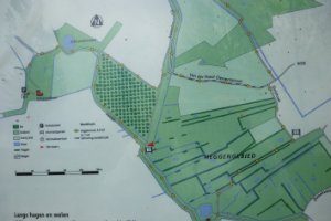 Bloemdijken van Zuid-Beveland