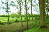 Bloemdijken van Zuid-Beveland, Nisse