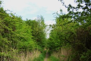 Bloemdijken Zuid-Beveland