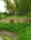 Bloemdijken van Zuid-Beveland