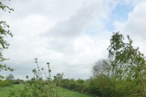 Bloemdijken van Zuid-Beveland