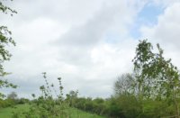 Bloemdijken van Zuid-Beveland, Nisse