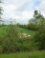 Bloemdijken van Zuid-Beveland