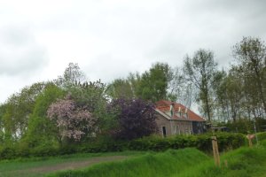 Bloemdijken van Zuid-Beveland