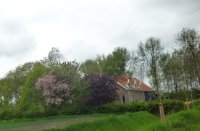 Bloemdijken van Zuid-Beveland, Nisse