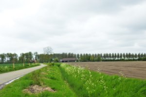 Bloemdijken van Zuid-Beveland