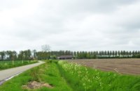 Bloemdijken van Zuid-Beveland, Nisse