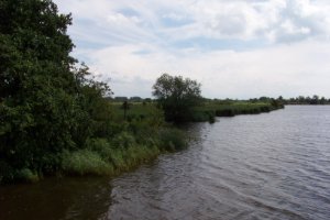 Water met groen begroeide oeverrs
