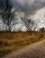 Naderend stormfront