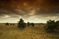 Zover als het oog reikt, Nationaal Park De Groote Peel, Hans Dirix