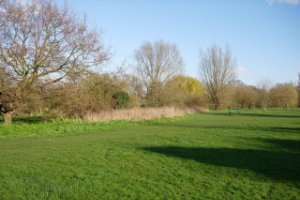 open Europees weidelandschap
