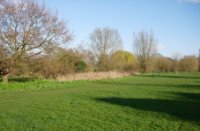 open Europees weidelandschap, English County Land