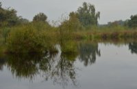 Reflectie, Nationaal Park De Groote Peel, edwin hoek