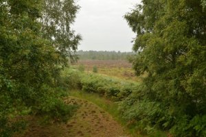 doorkijkje