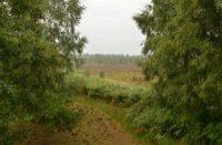 doorkijkje, Nationaal Park De Groote Peel, Edwin hoek