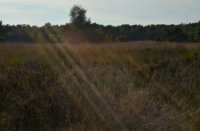 najaars zon, joe mann theater son en breugel, nieuwe heide