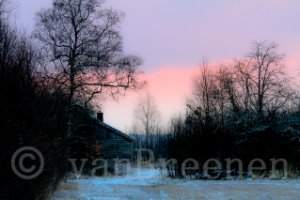 Veen landschap met boom en hout huisje in de sweeuw