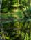 waterloopbos
