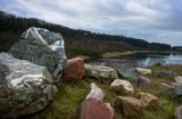 Zwerfsteneneiland, Zanderij Maarn, ger doornbos