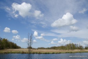 Boschwetering