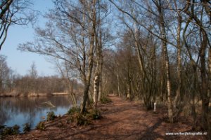 Natuurgebied De Haeck