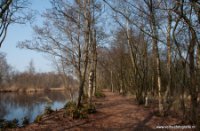 Natuurgebied De Haeck