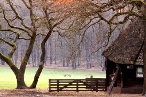 Als de zon ondergaat slapen de schapen 